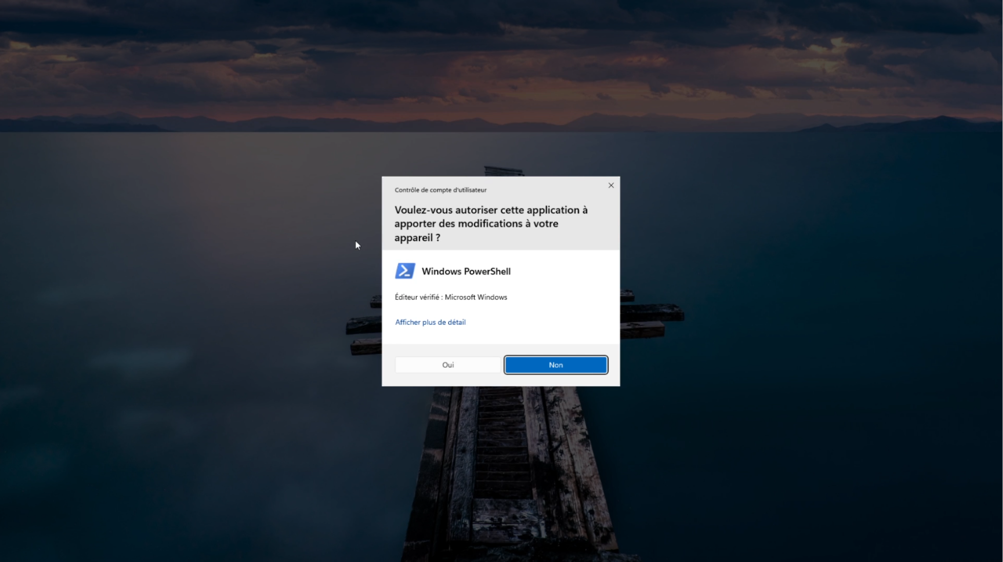 Fenêtre de sécurité Windows — cliquez Oui